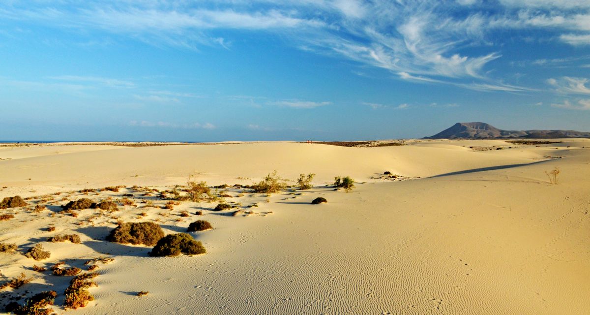 Dunas