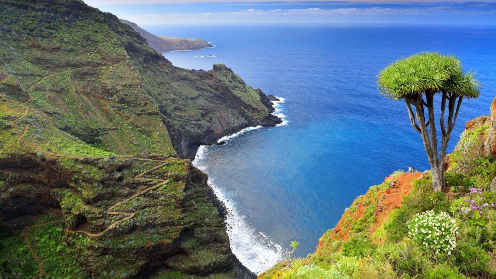 LA PALMA