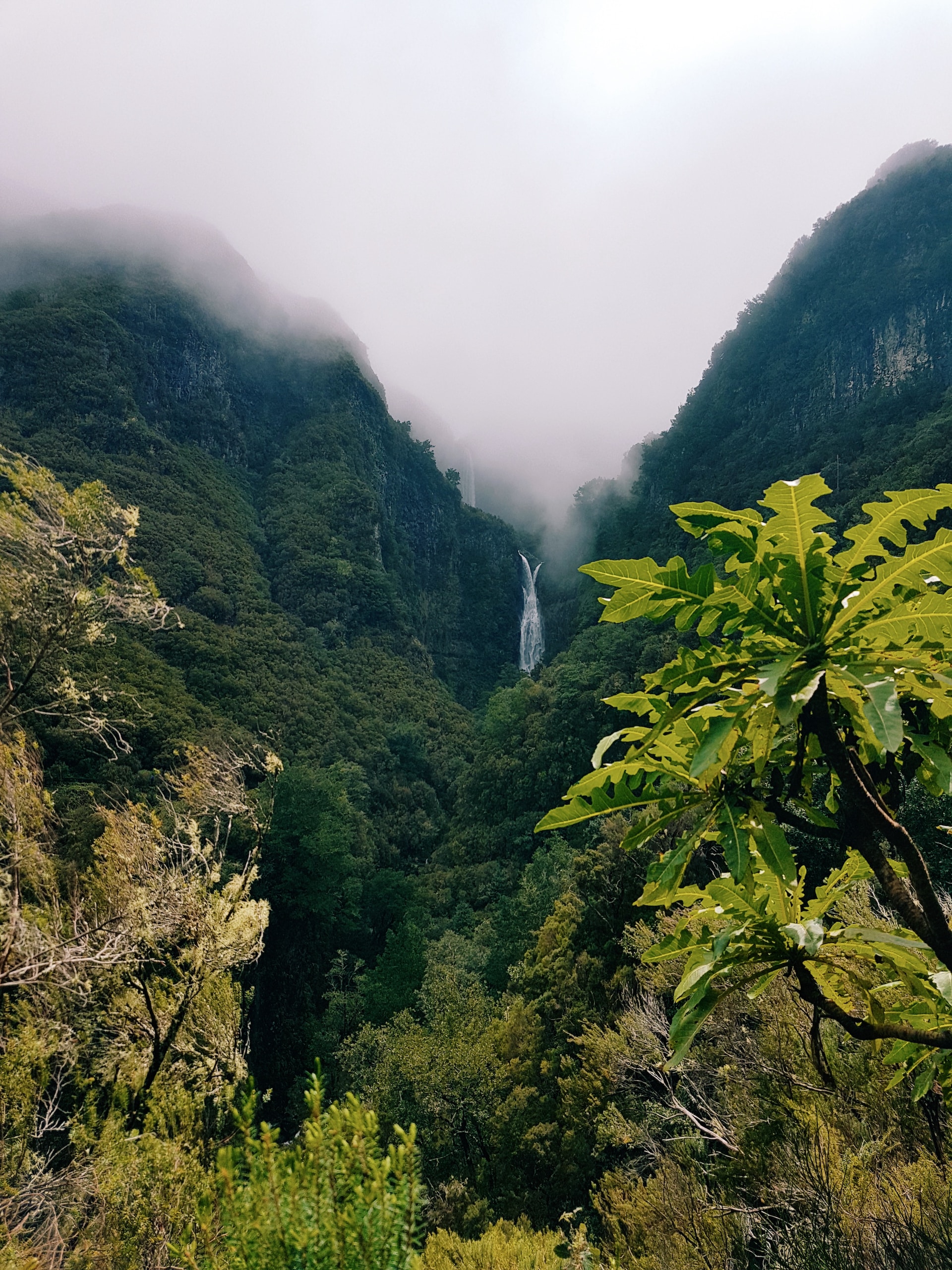 Canarias